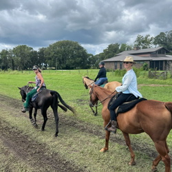 HORSE BOARDING